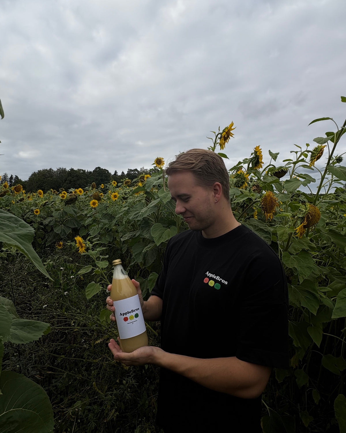Apple juice box 3 x 1L