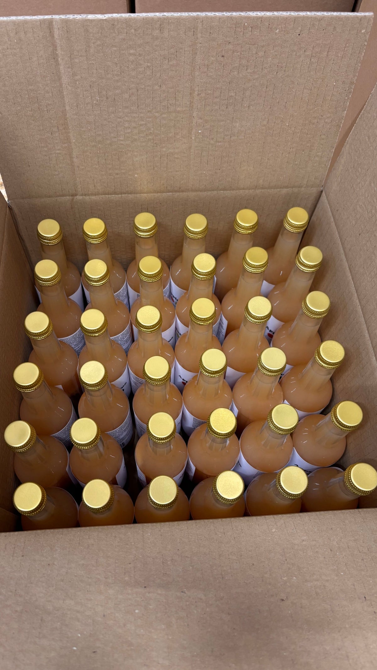 Apple juice box 36 x 0,35L