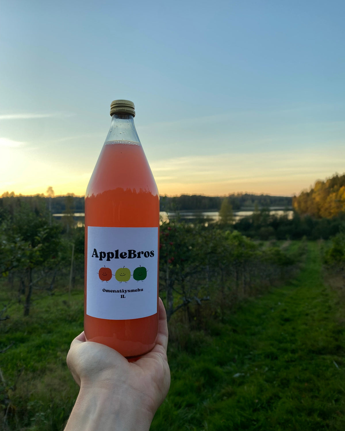 Omenamehulaatikko 12 x 1L
